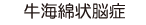 牛海綿状脳症
