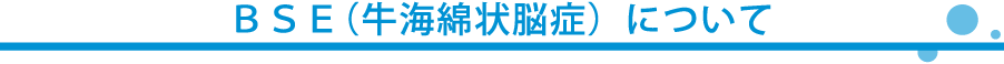 BSE(牛海綿状脳症)について
